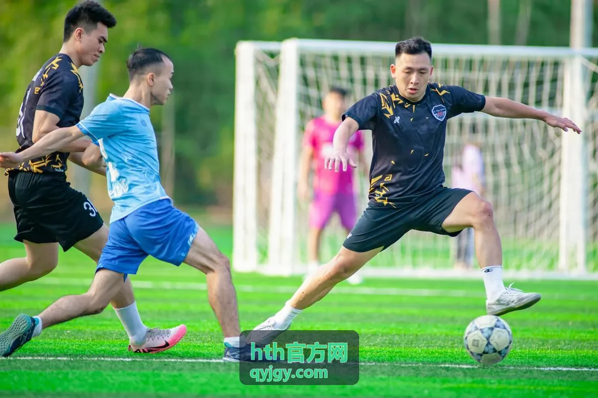 观影推荐内容合集封面